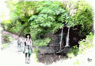 涼と癒しを求めて訪れた「三郎の滝」は、緑の中にひっそりとありました。