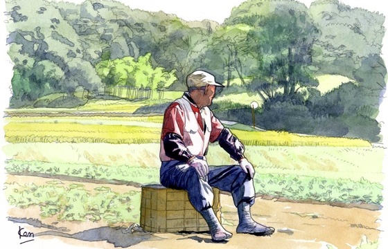 農地付きのお家を探しています。