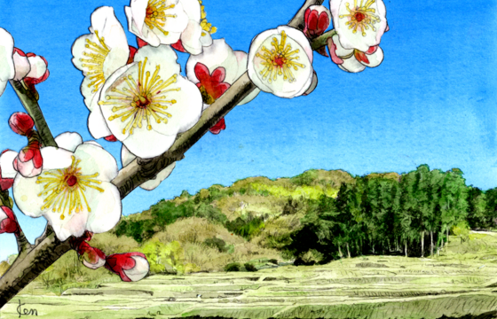 ボロボロのお家でもOKです！