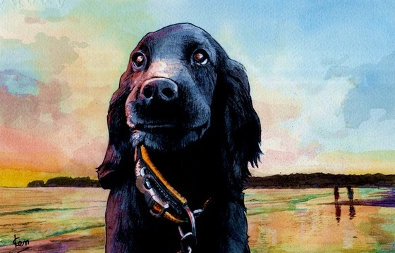 愛犬と、鎌倉の自然とともに。仕事と暮らしを慈しむ家を探しています。