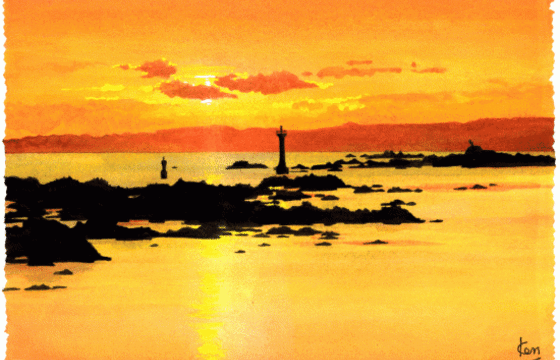 海１列目を探しています！