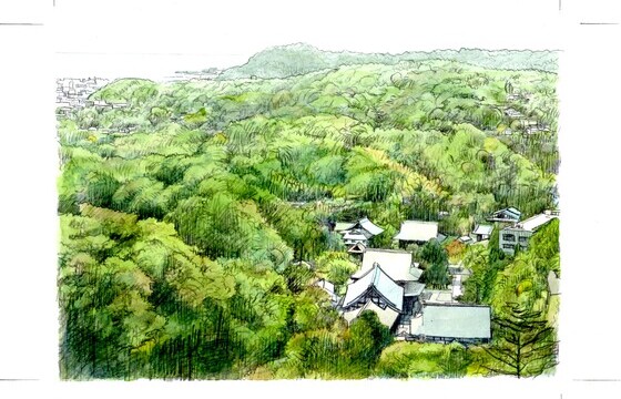 北鎌倉の緑深いエリアで眺望が良いお家を探しています。