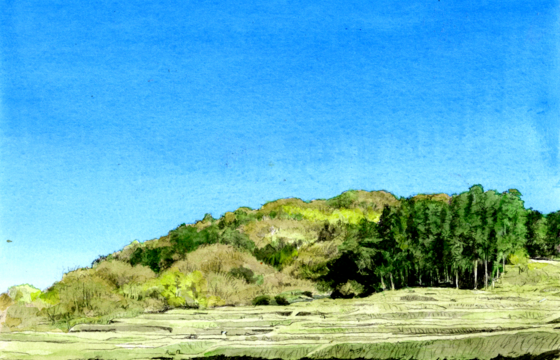 葉山・秋谷エリアにて、家庭菜園ができる住まいを探しています。
