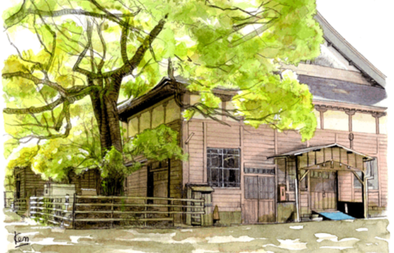 鎌倉・御成小区域で、家族と愛犬と暮らす中古戸建て、または土地を探されています。