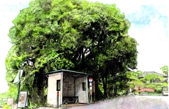 家庭菜園を楽しむ小さな戸建てを探しています。